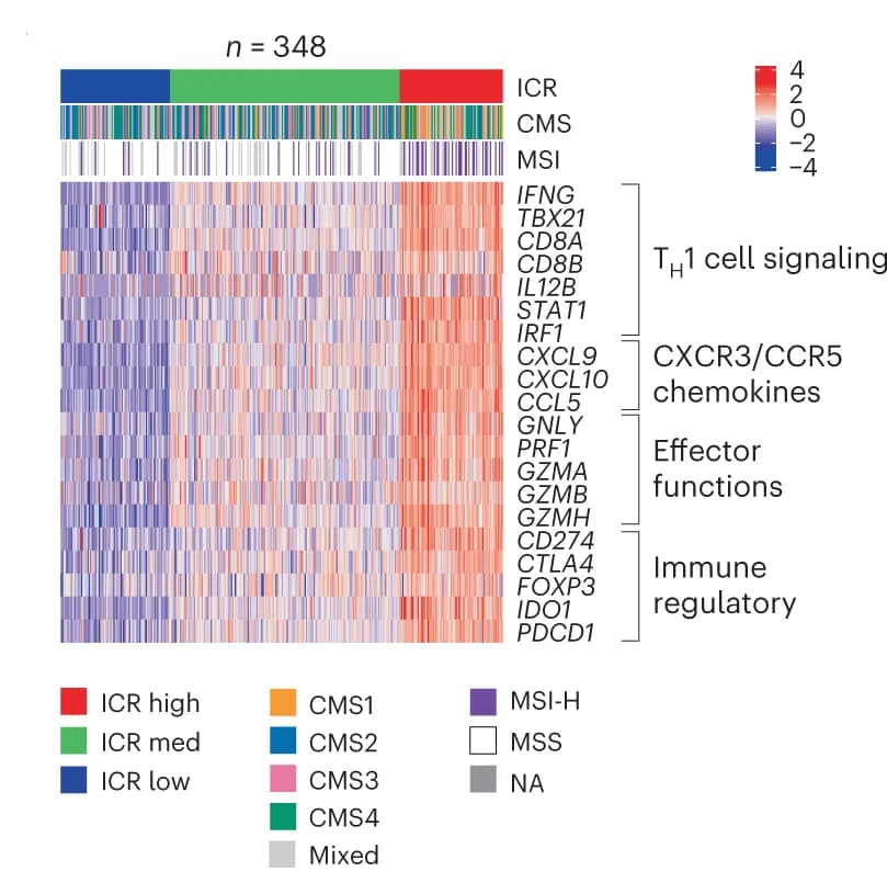 Open access visualization of Heatmap, Clustered, Bar Plot, ICR Genes, Expression Values