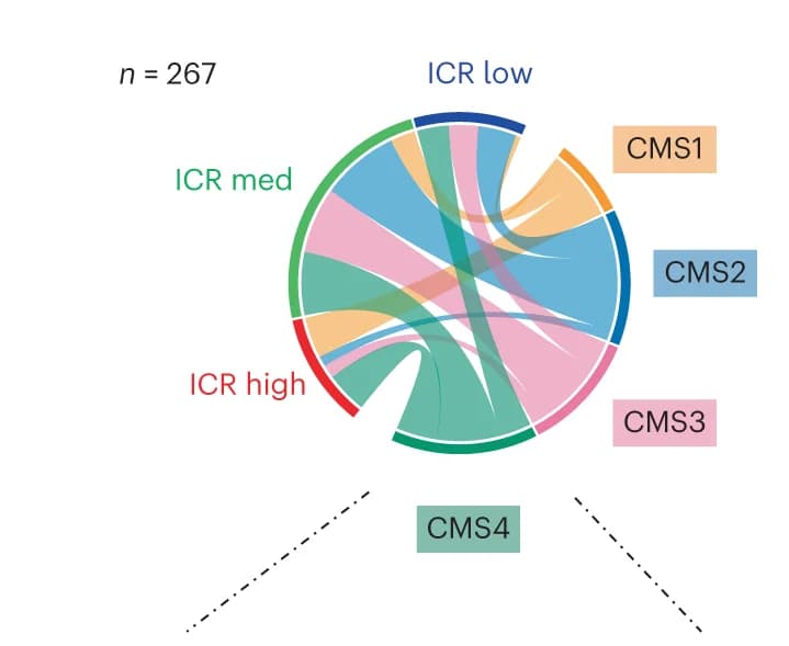 Open access visualization of Chord, Circos Plot, ICR, CMS, Classification