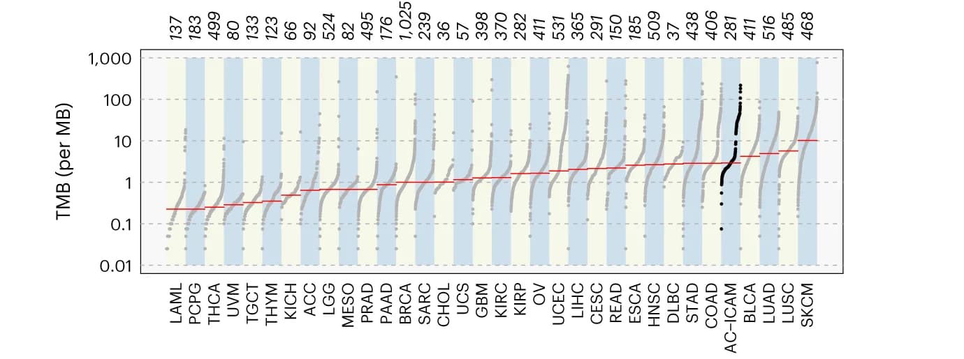 Open access visualization of Scatter Plot, Line Plot, Tumor Mutational Burden, AC-ICAM Cohort, TCGA Cohorts