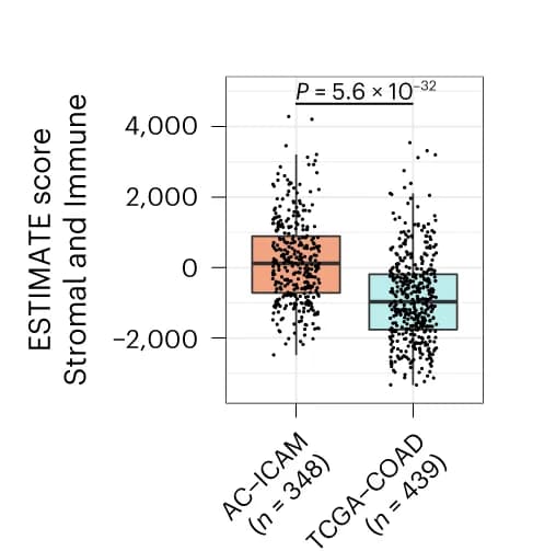 Open access visualization of Box Plot, Scatter Plot, ESTIMATE Scores, AC-ICAM Cohort, TCGA-COAD Cohorts