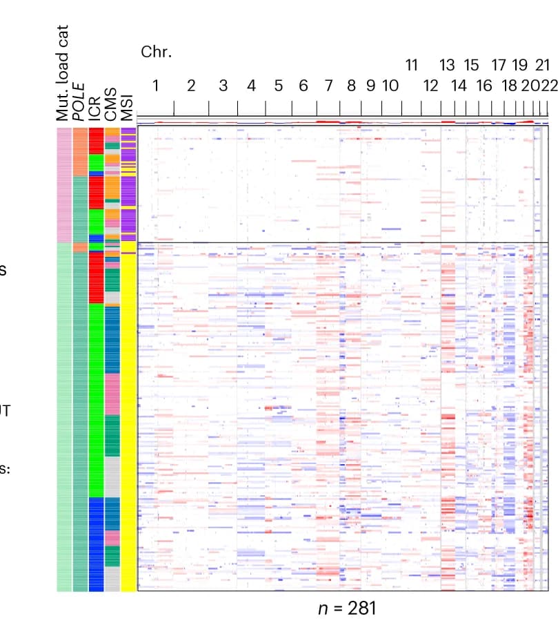 Open access visualization of Heatmap, Clustered, Bar Plot, Heat Map, Copy-Number Changes