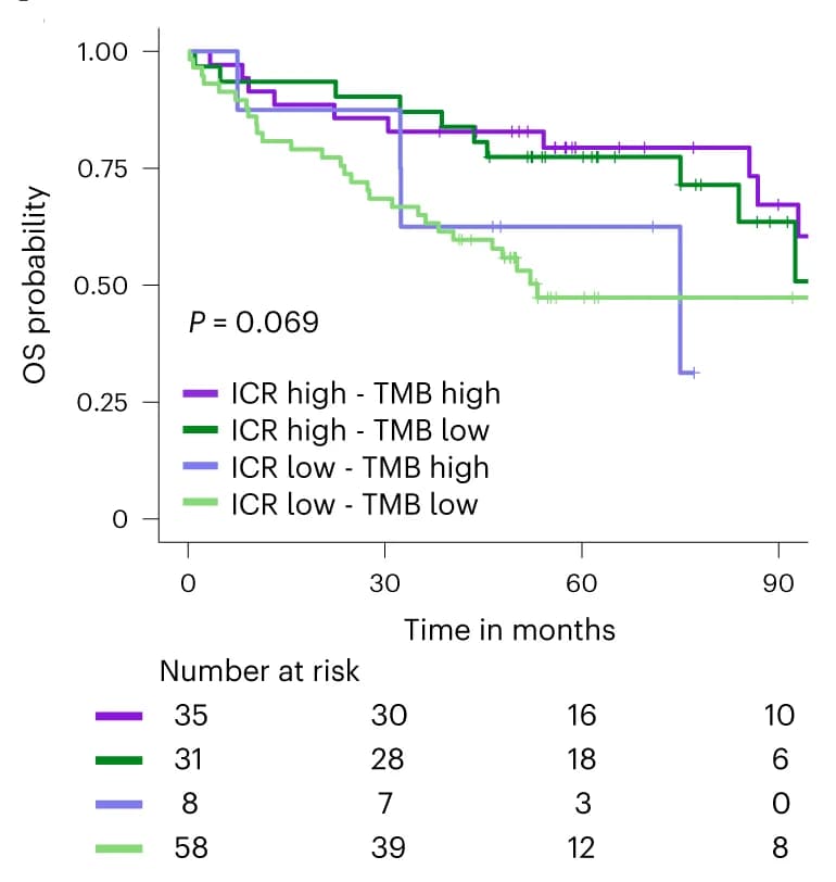 Open access visualization of Survival Curve, Kaplan-Meier, Overall Survival, ICR Cluster, Mutational Load