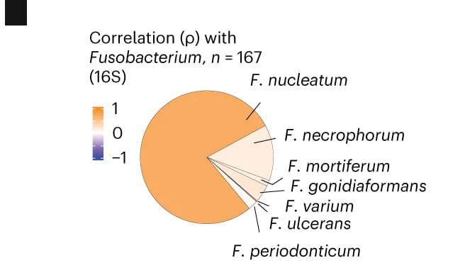 Open access visualization of Pie Chart, Fusobacterium Species, WGS Data, Spearman Correlation, Relative Abundance
