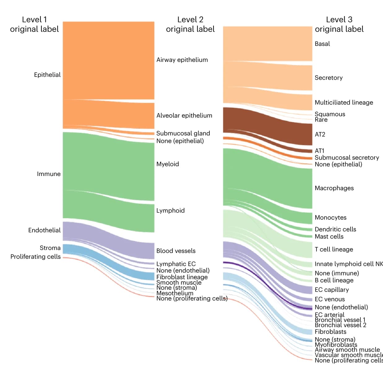 Open access visualization of Sankey, HLCA core, Cell type composition, Cell annotation, Epithelial cells