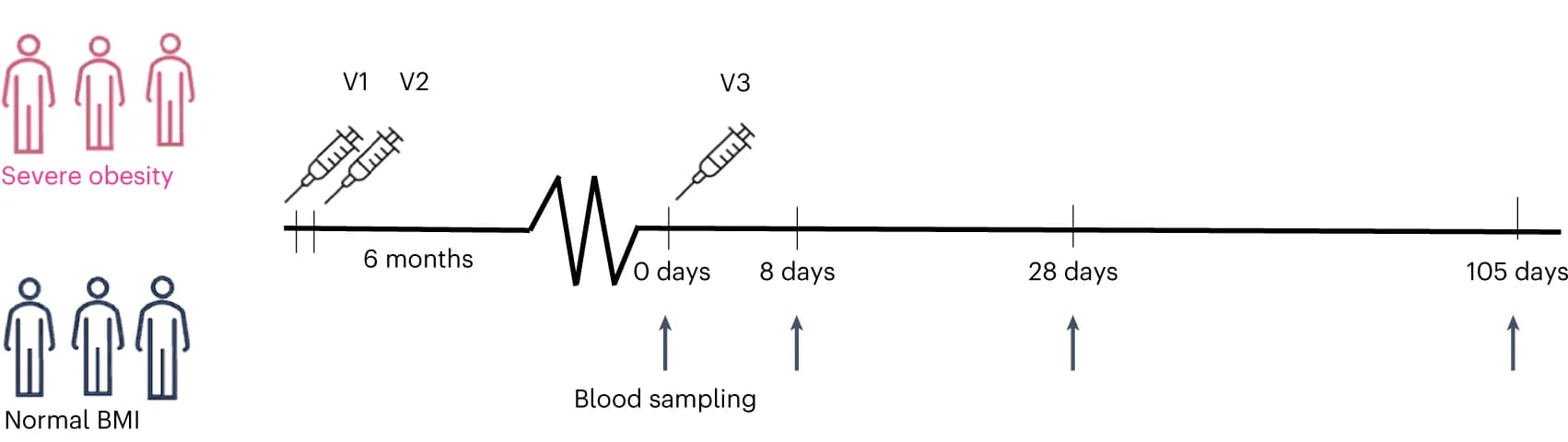 Open access visualization of Workflow, Illustration, Obesity, Control, Immunophenotyping