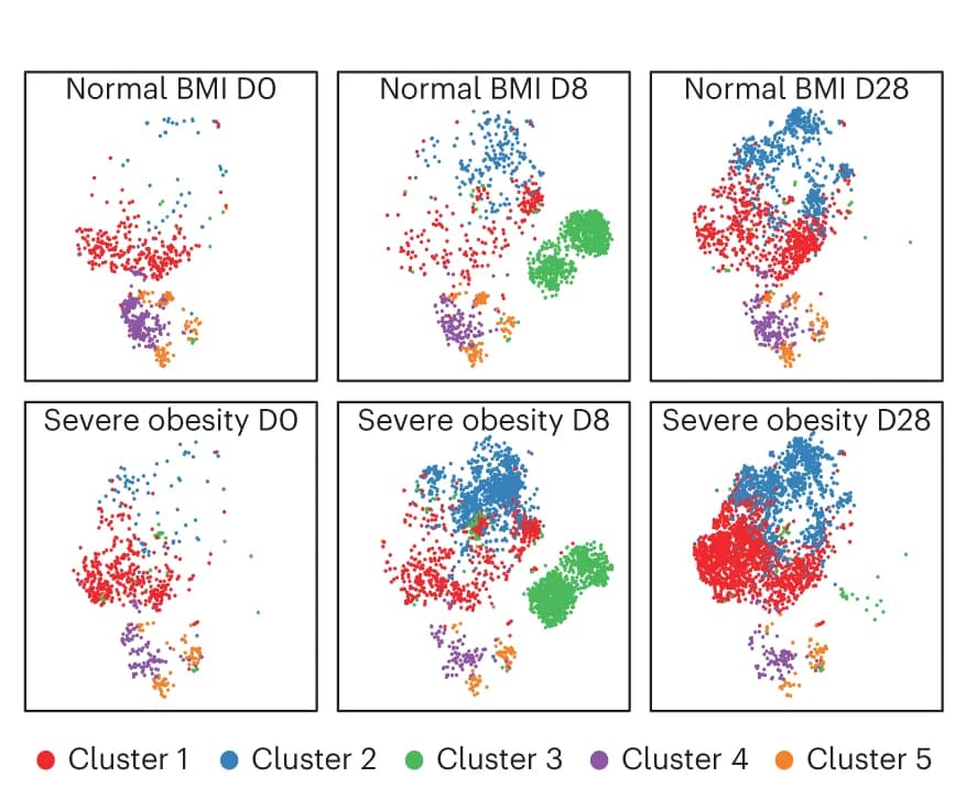 Open access visualization of Scatter Plot, UMAP, Flow Cytometry, SARS-CoV-2, RBD-binding B Cells