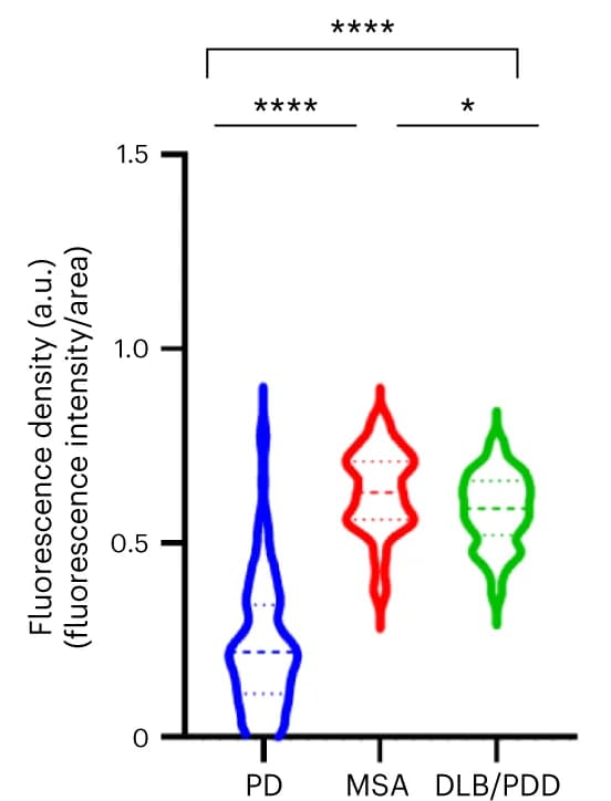 Open access visualization of Violin Plot, Fluorescence density, Intracellular -synuclein inclusions, Low-resolution fluorescence intensity, Inclusion area