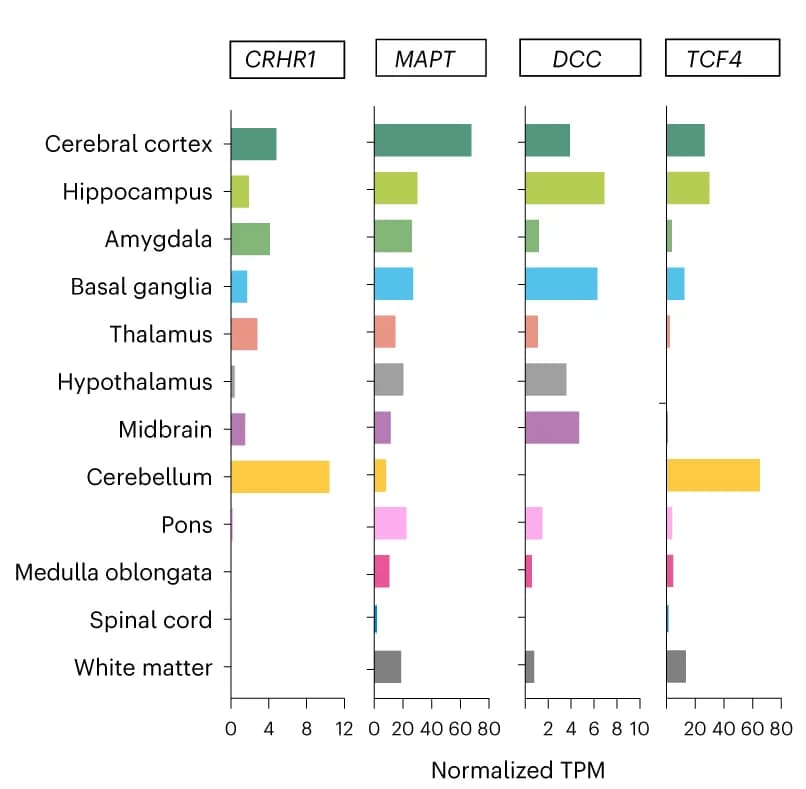 Open access visualization of Bar Plot, CRHR1, MAPT, DCC, TCF4
