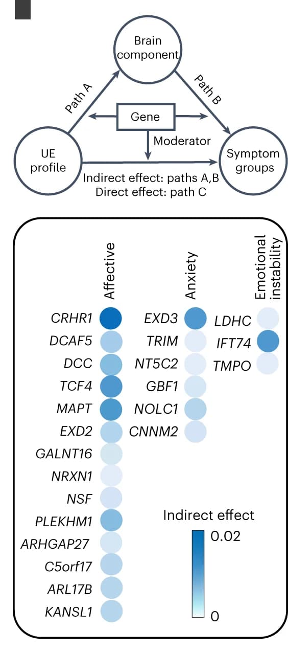 Open access visualization of Network, Bubble Plot, Moderated Mediation Analysis, Genomics, Urban Environment