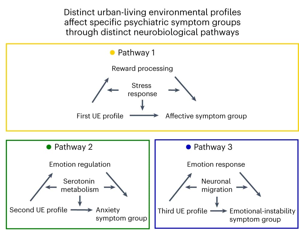 Open access visualization of Workflow, Flowchart, Environmental Profiles, Urban Living, Psychiatric Symptoms