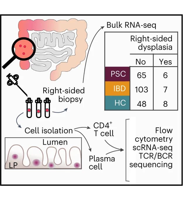 Open access visualization of Workflow, Table Image, Illustration, Study methodology, Tissue biopsies