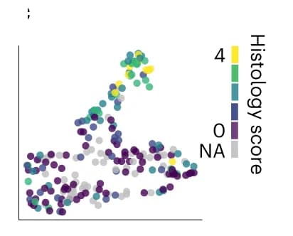 Open access visualization of Scatter Plot, UMAP, PCA, UMAP plots, Right colon