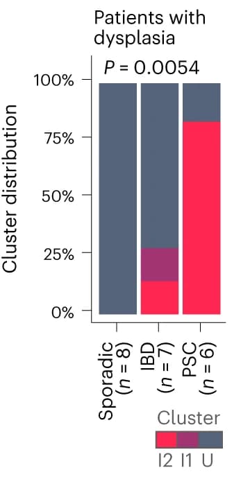 Open access visualization of Stacked Bar Plot, Right Colon Dysplasia, Clusters, Chi-squared Test