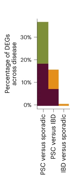 Open access visualization of Stacked Bar Plot, Differentially Expressed Genes, Bar Graph, PSC, Sporadic Dysplasia