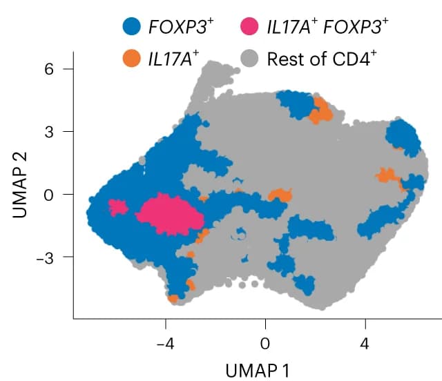Open access visualization of Scatter Plot, UMAP, CD4 T Cells, PSC, Cell Type