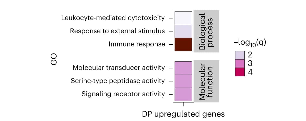 Open access visualization of Bar Plot, Stacked Bar Plot, Enriched Gene Sets, DP CD4 T Cells, IL17A + CD4