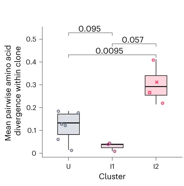 Open access visualization of Box Plot, Scatter Plot, Amino Acid Divergence, CDR3, Clones