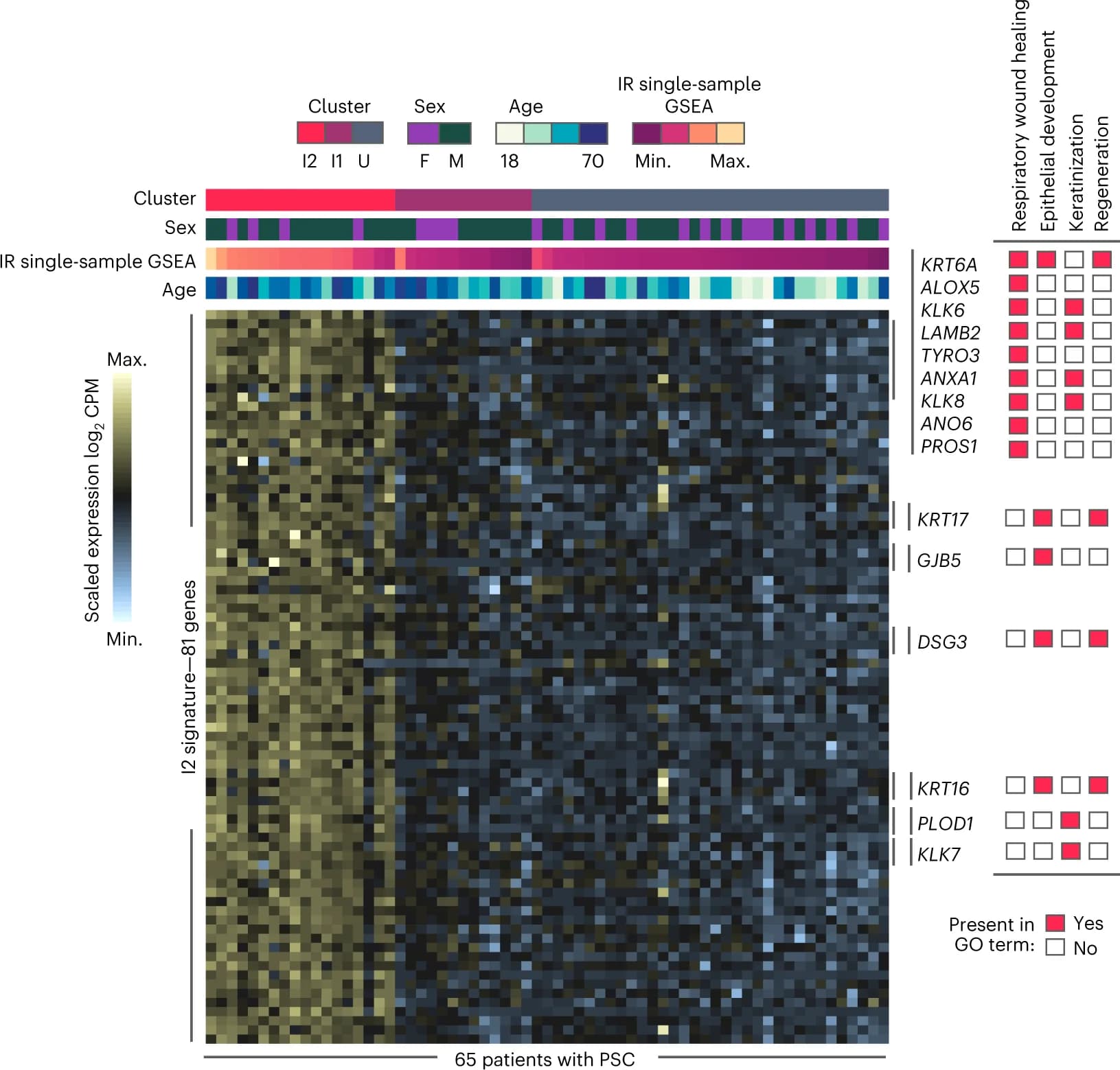 Open access visualization of Heatmap, Gene Expression, PSC, Patient Characteristics, Wound Healing