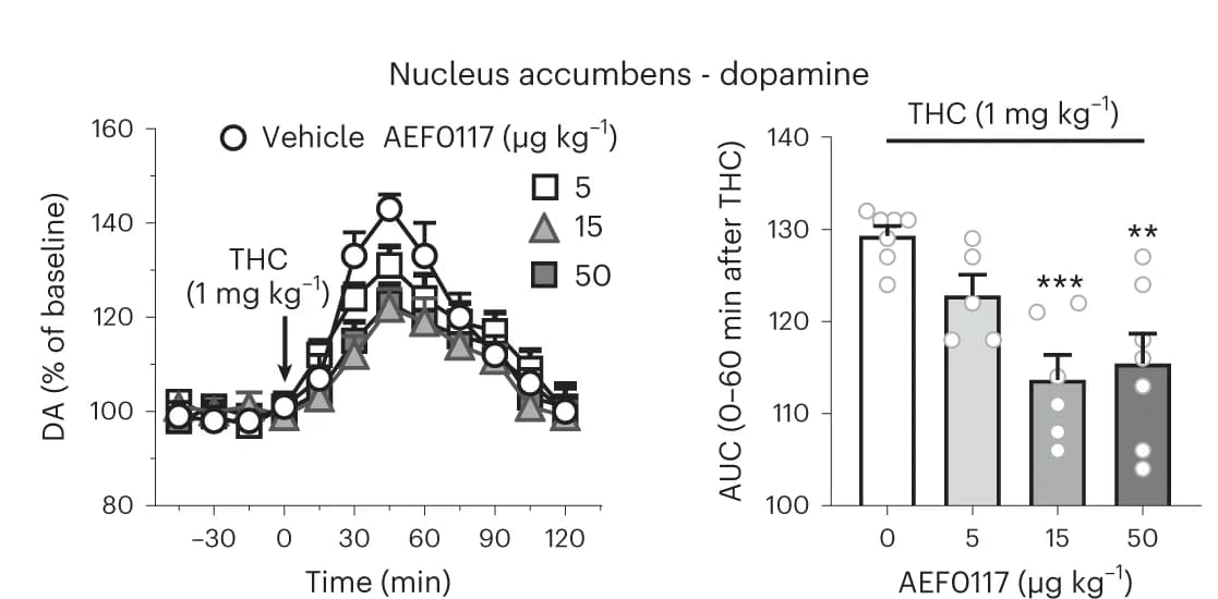 Open access visualization of Line Plot, Error Bars, Bar Plot, Scatter Plot, Rats