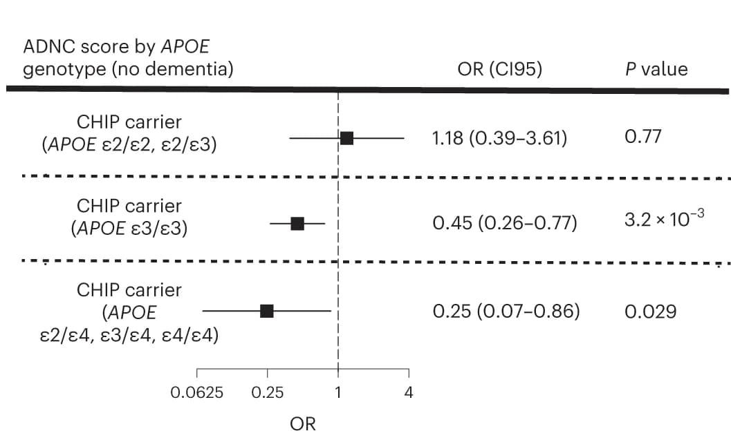 Open access visualization of Forest Plot, CHIP, ADNC Score, ADSP, APOE Genotype