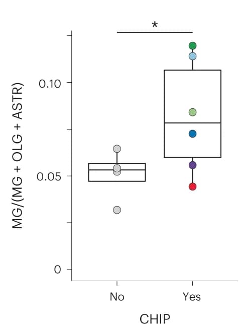 Open access visualization of Box Plot, Scatter Plot, MG, Glial Pool, Occipital Cortex