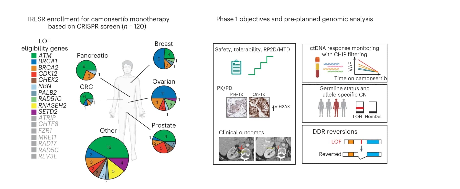 Open access visualization of Pie Chart, Line Plot, Microscopy, Illustration, Patient Enrollment
