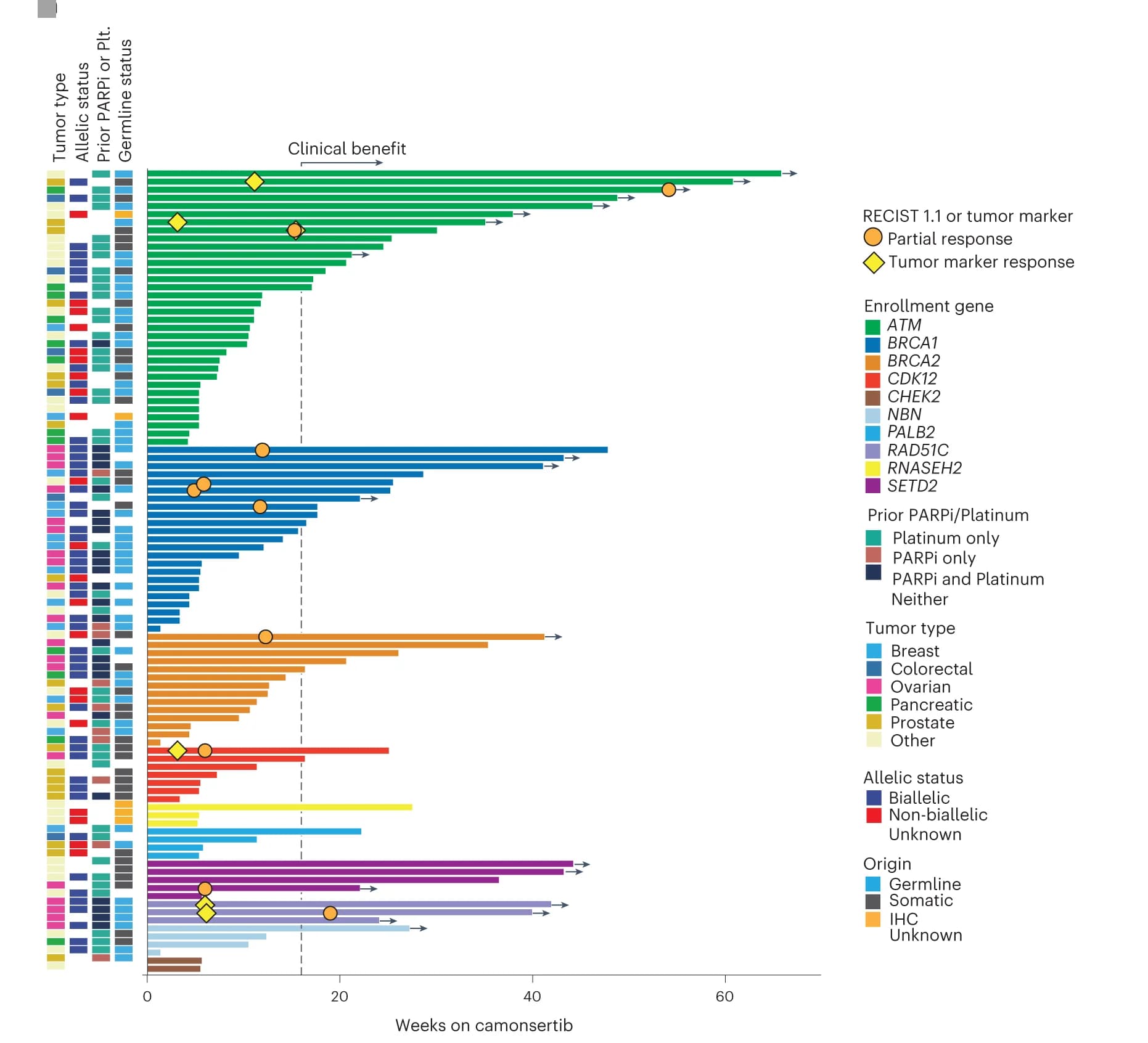 Open access visualization of Bar Plot, Treatment Duration, Genotype, Clinical Benefit, RECIST 1.1