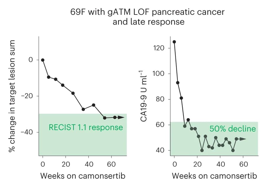 Open access visualization of Line Plot, Case Report, ATM LOF, Pancreatic Cancer, Camonsertib