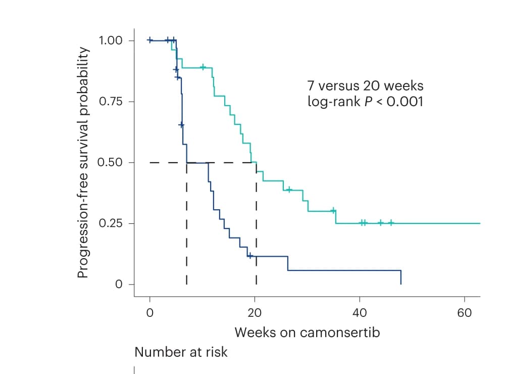 Open access visualization of Line Step, Survival Curve, Kaplan-Meier, Progression-Free Survival