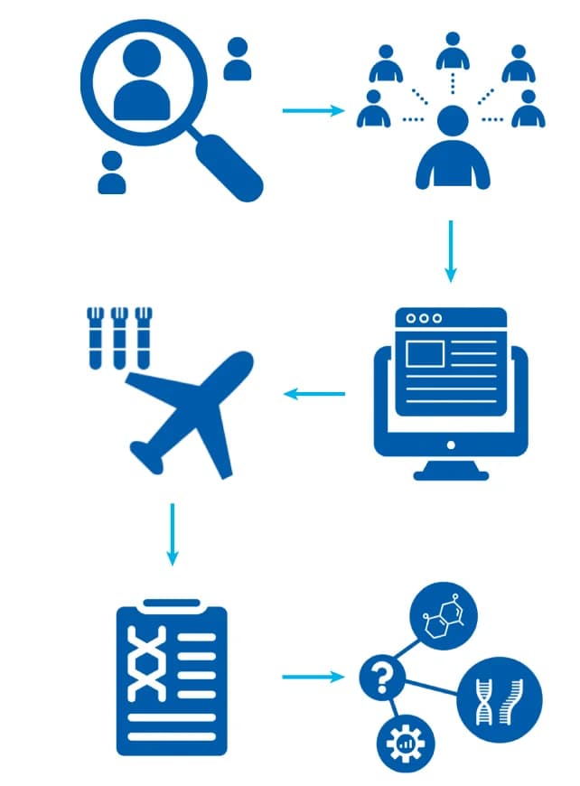Open access visualization of Workflow, Flowchart, Illustration, Study Workflow, Patient Selection