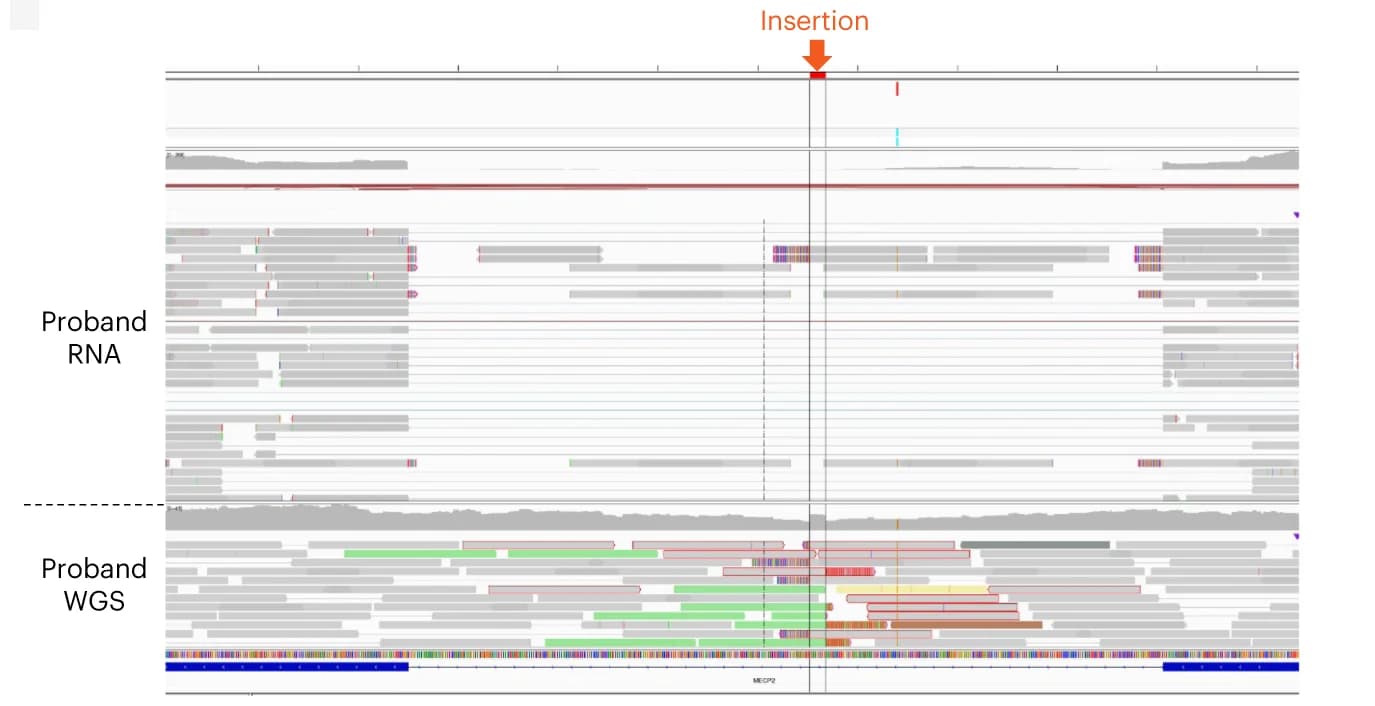Open access visualization of None, Integrated Genomics Viewer, RNA sequencing, DNA sequencing, DNA insertion