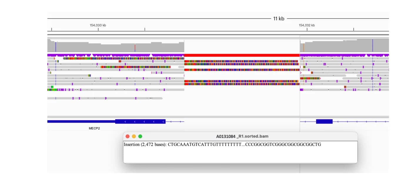 Open access visualization of Locuszoom Plot, Nanopore sequencing, DNA insertion