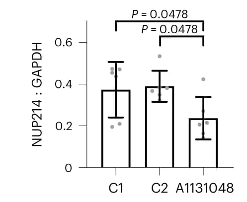 Open access visualization of Bar Plot, Error Bars, Densitometry, NUP214, Fibroblasts