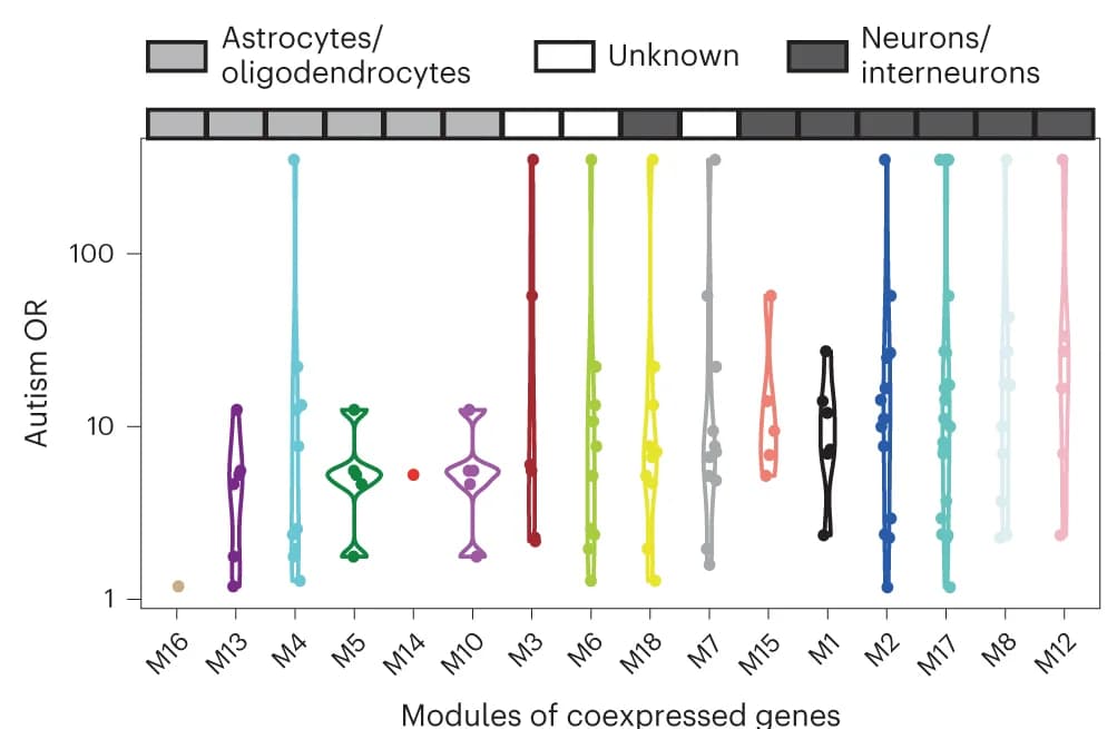 Open access visualization of Violin Plot, Box Plot, Autism, Genes, Brain Coexpression Modules