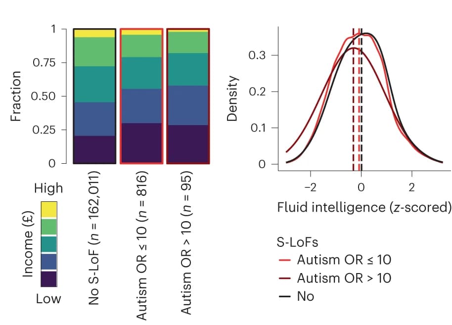 Open access visualization of Stacked Bar Plot, Density Plot, Line Plot, Incomes, Fluid Intelligence Scores