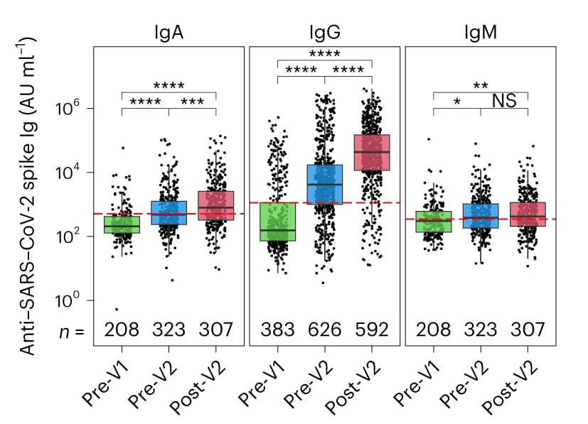 Open access visualization of Box Plot, Scatter Plot, Anti-SARS-CoV-2, Spike Binding, IgG