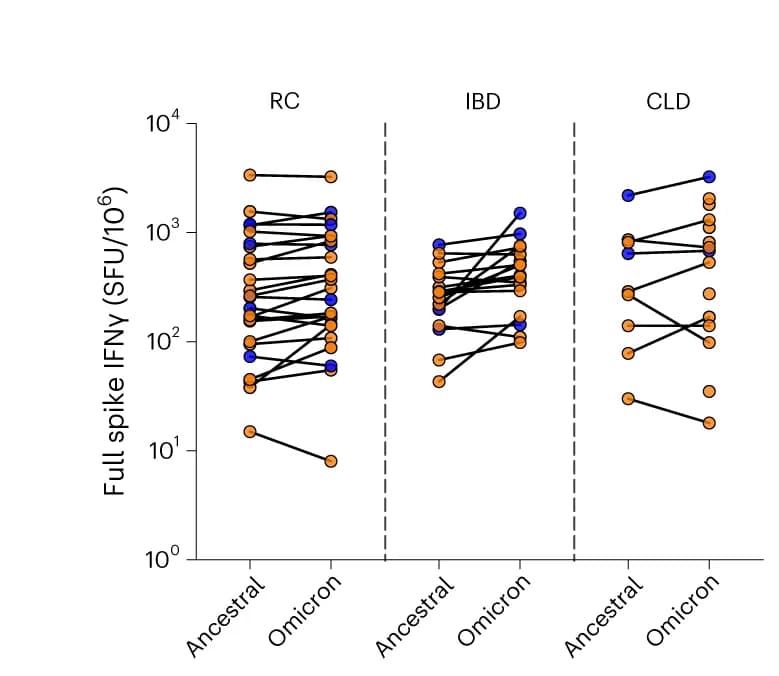Open access visualization of Line Plot, Scatter Plot, IFNγ T Cell Response, Ancestral Spike, Omicron BA.1 Spike