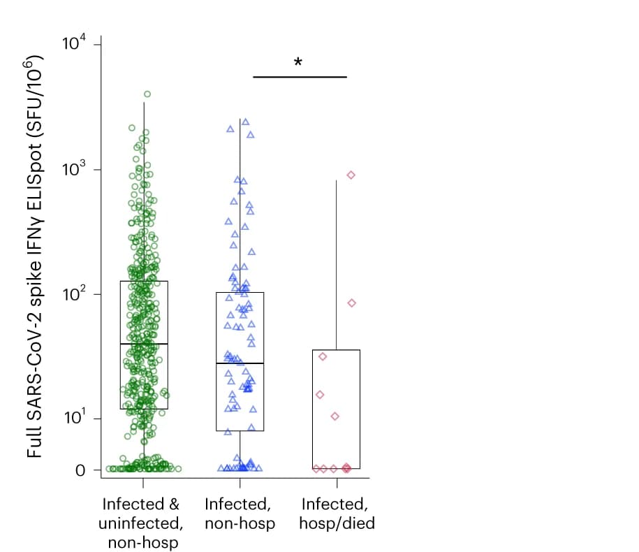 Open access visualization of Box Plot, Scatter Plot, SARS-CoV-2 Spike IFNγ T Cell Response, COVID-19 Infection, COVID-19 Severity