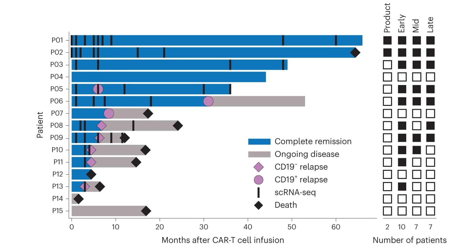 Open access visualization of Bar Plot, Clustered, Swimmer Plot, Pediatric Patients, B-ALL