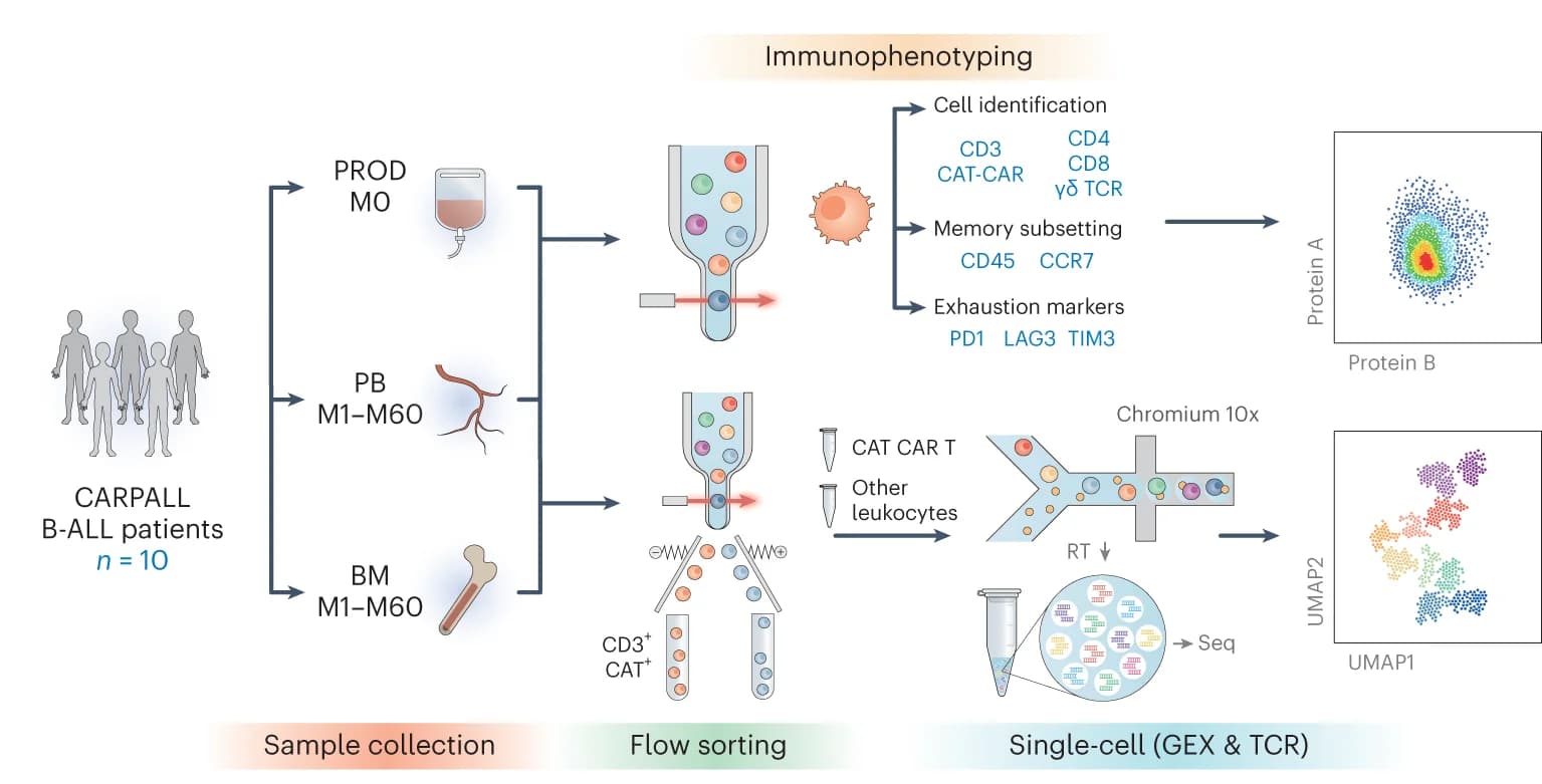 Open access visualization of Workflow, Scatter Plot, UMAP, Study Design, Infusion Products