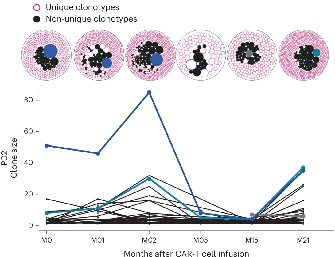 Open access visualization of Line Plot, Scatter Plot, Bubble Plot, CAR-T Cells, Clonal Architecture