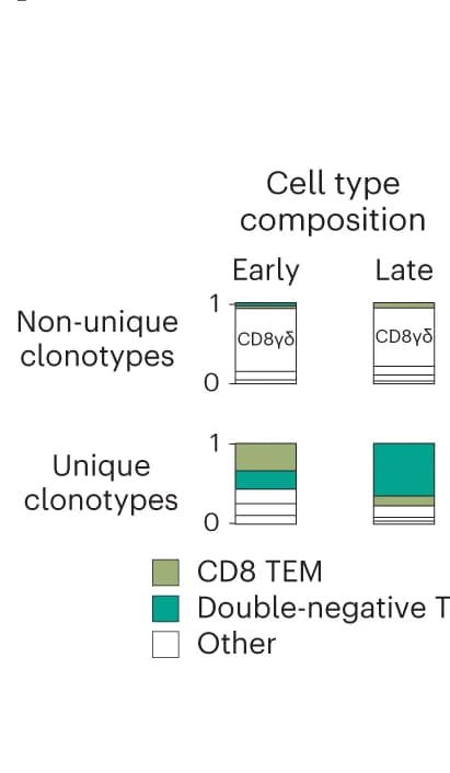 Open access visualization of Stacked Bar Plot, Cell Type Composition, Cell Type Abundances, Timepoints, Clonotypes
