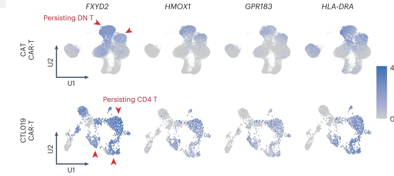 Open access visualization of UMAP, UMAP Plots, CAR-T Signature, CAR-T Cells, CARPALL