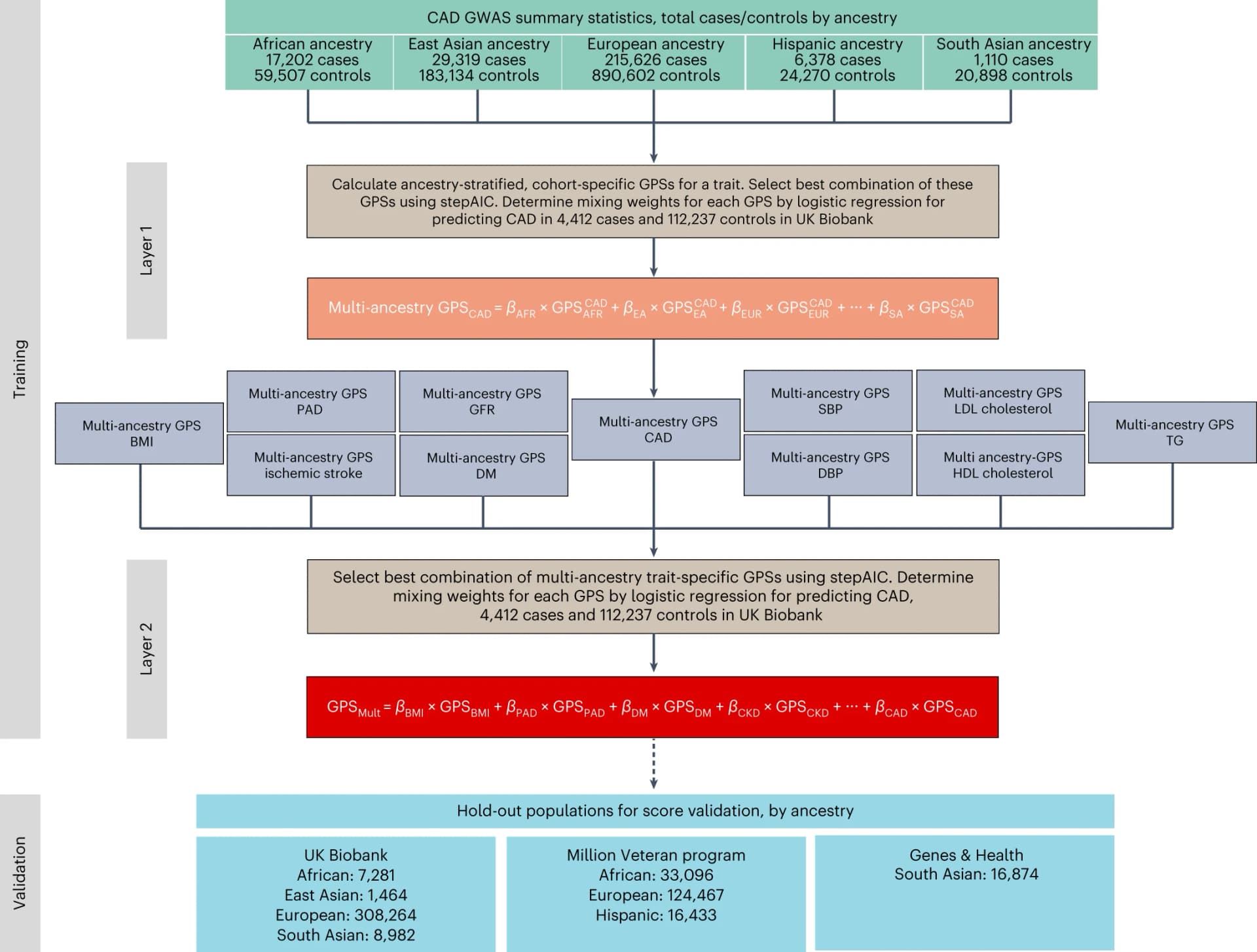 Open access visualization of Workflow, Flowchart, Polygenic Scores, CAD, CAD-related traits