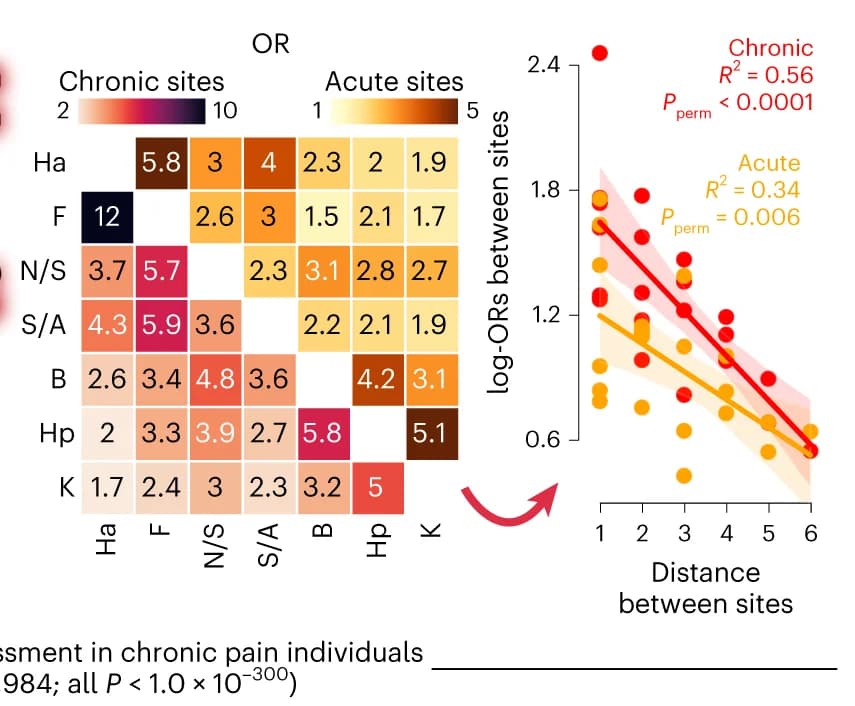 Open access visualization of Heatmap, Scatter Plot, Regression Plot, Odds Ratios, Pain Sites