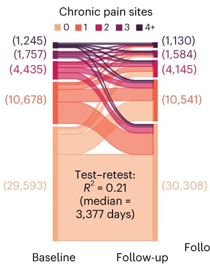 Open access visualization of Sankey, Chronic Pain, Pain Sites, Test-retest Variance