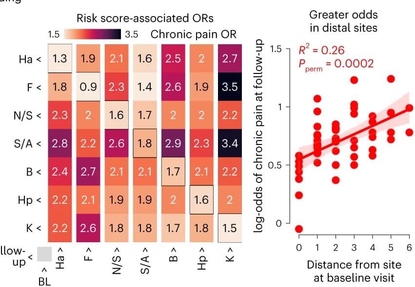 Open access visualization of Heatmap, Scatter Plot, Regression Plot, Risk Score, Pain Sites