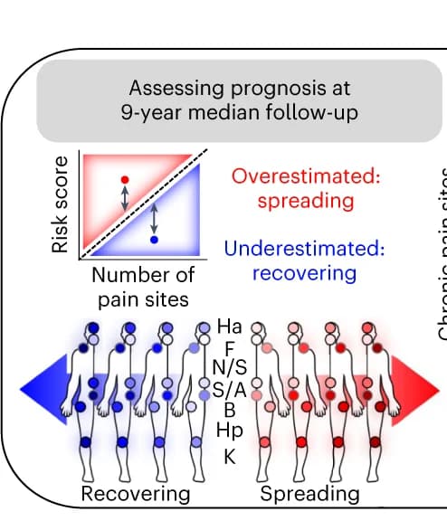 Open access visualization of Scatter Plot, Illustration, Risk Score, Chronic Pain, Pain Sites
