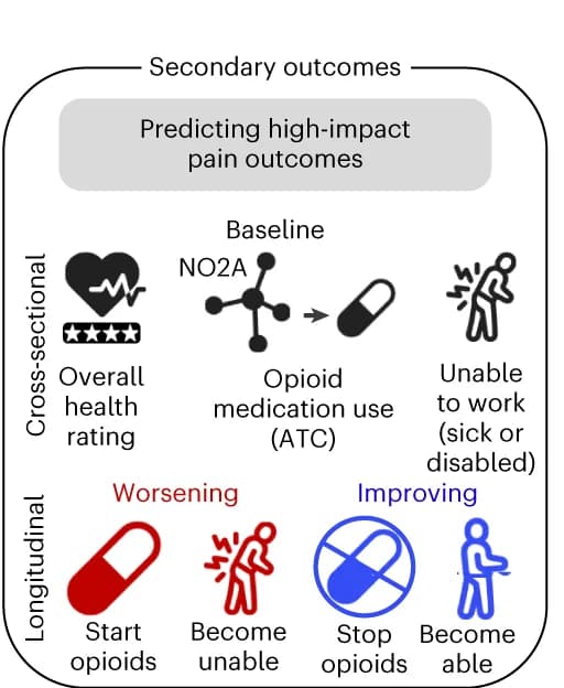 Open access visualization of Workflow, Flowchart, Illustration, Health Ratings, Opioid Medications