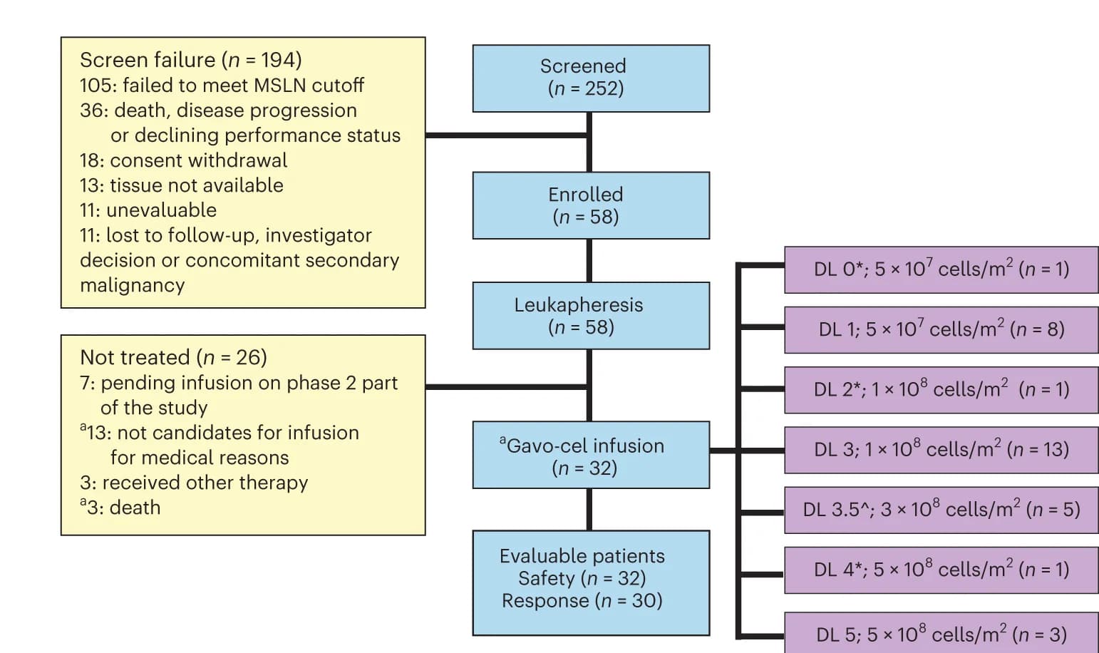 Open access visualization of Workflow, Flowchart, CONSORT Diagram, Patients, Lymphodepletion